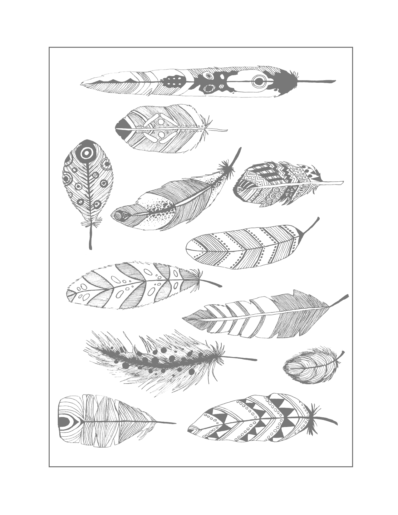 All Types Of Feathers For Coloring