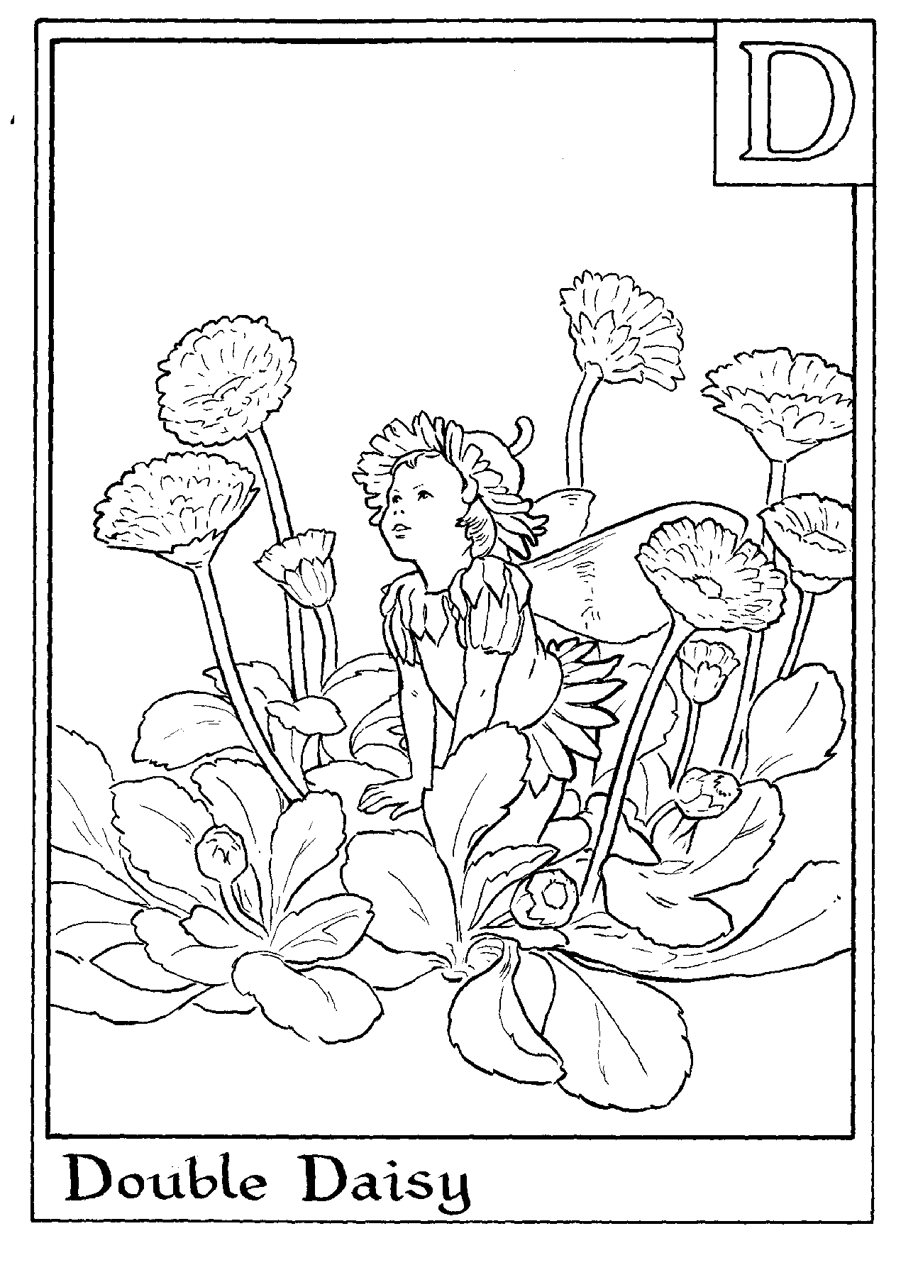 Alphabet Fairy Daisy Coloring Page