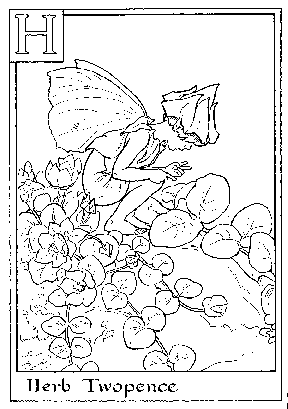 Alphabet Fairy Herb Coloring Pages