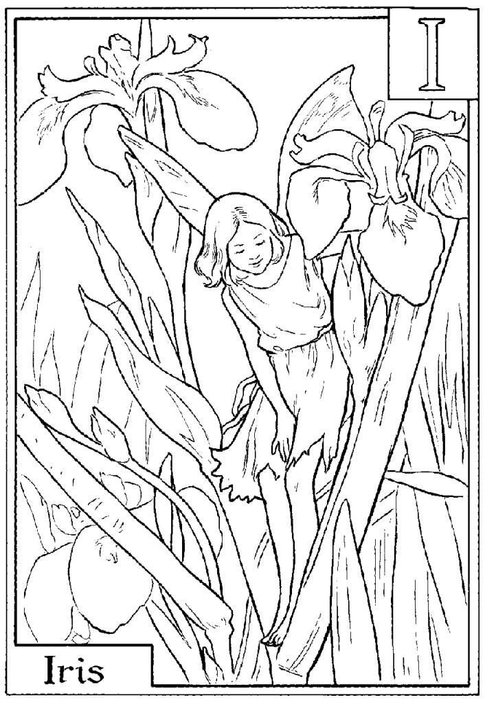 Alphabet Fairy Iris Coloring Page