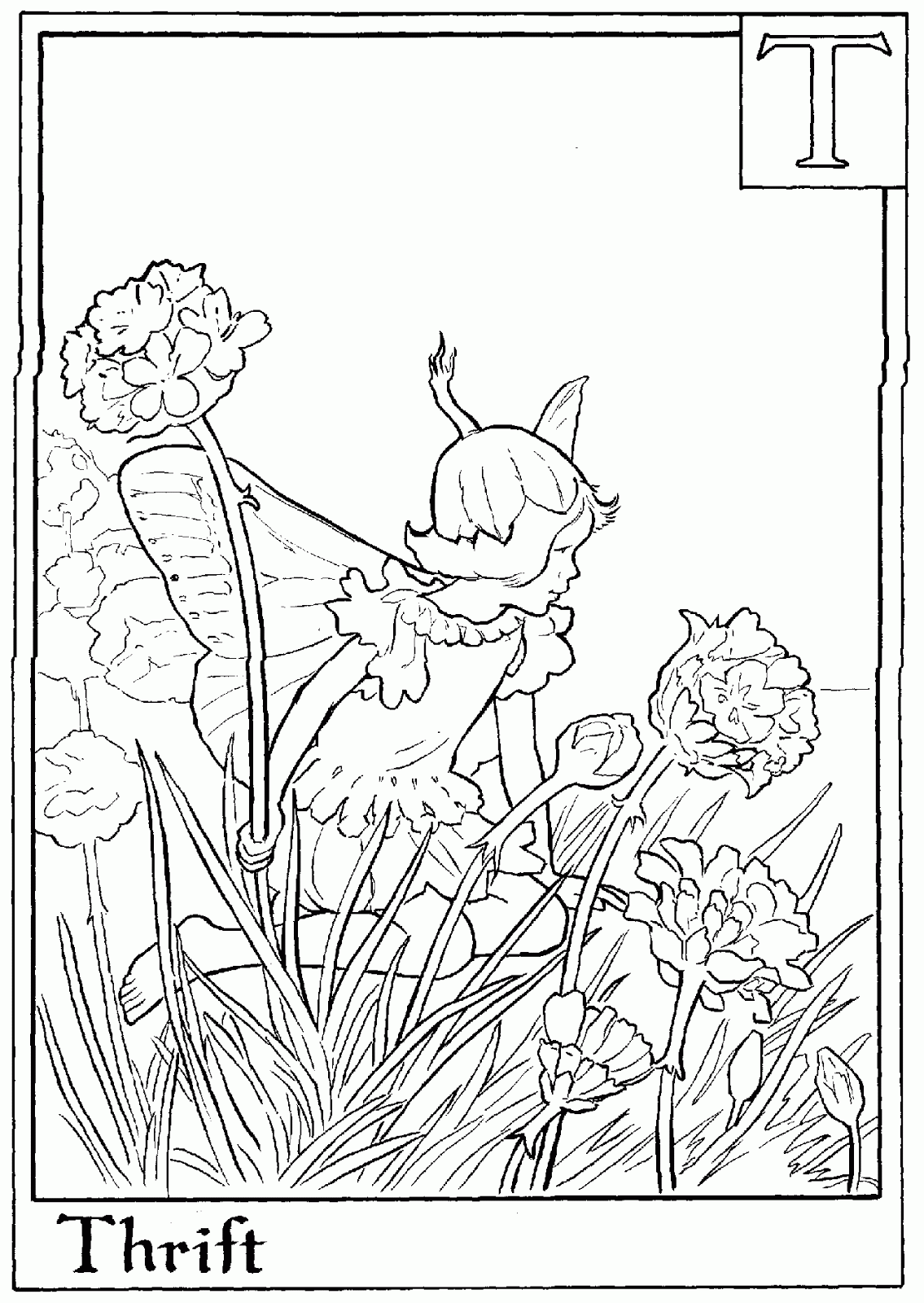 Alphabet Fairy Thrift Coloring Page