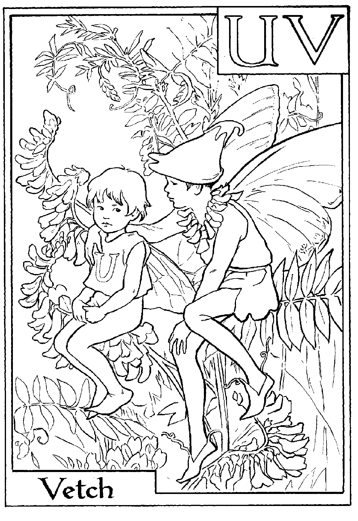 Alphabet Fairy Vetch Coloring Pages