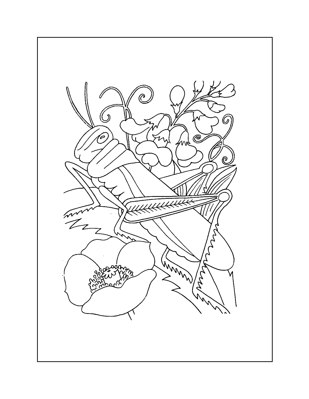 Cricket Coloring Pages