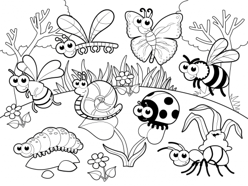 Cute Garden Insects Coloring Pages