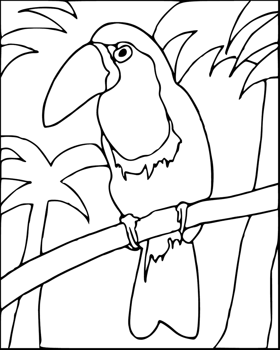Easy Toucan In The Trees Coloring Page