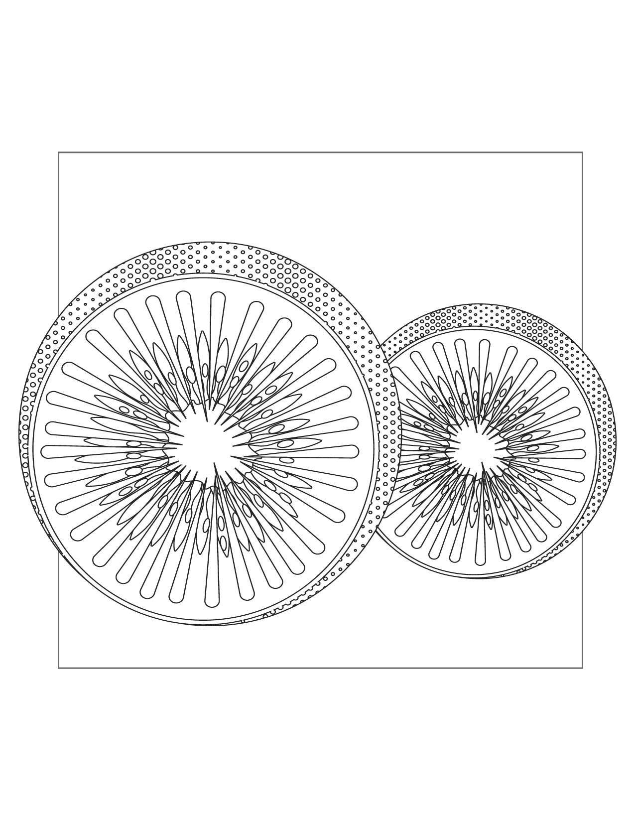 Sliced Kiwi