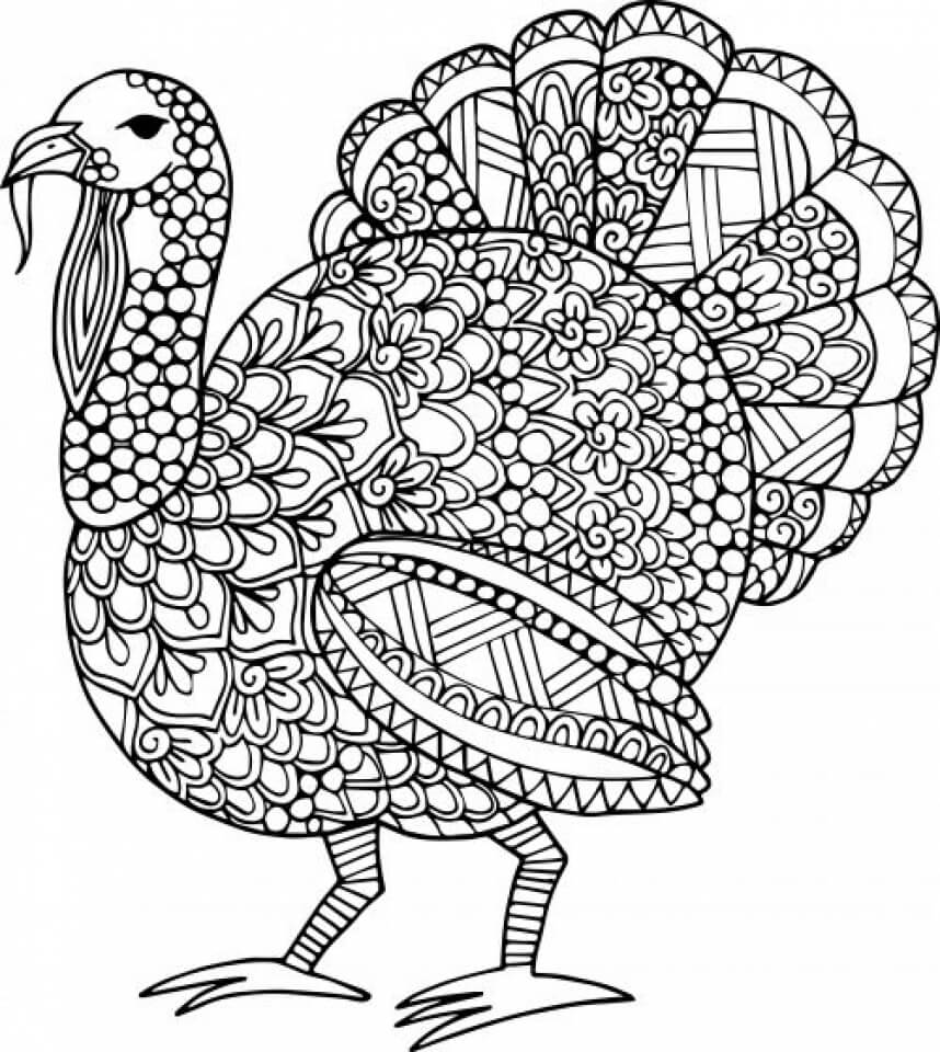 Thanksgvingturkey Coloring Pages For Adults