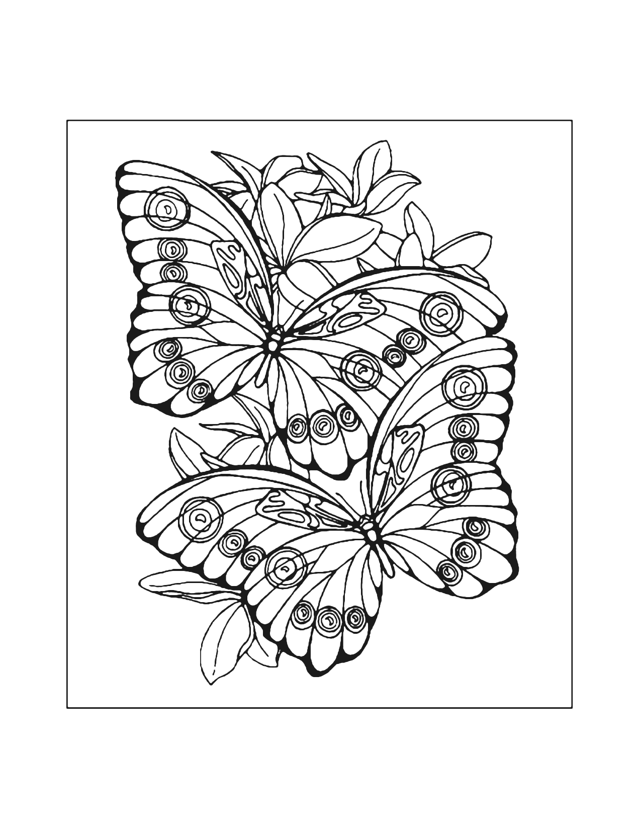 Two Butteflies Coloring Page